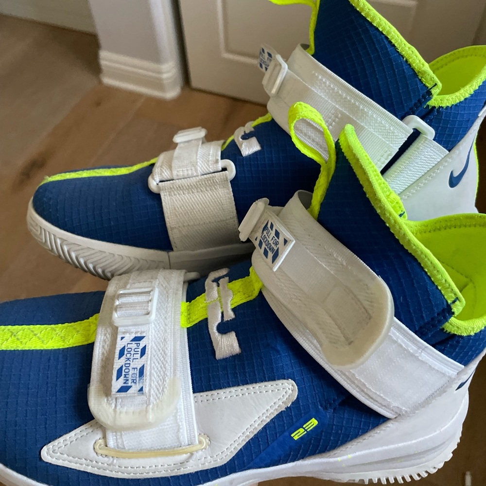 Lebron Nike basketabll customized sneakers!